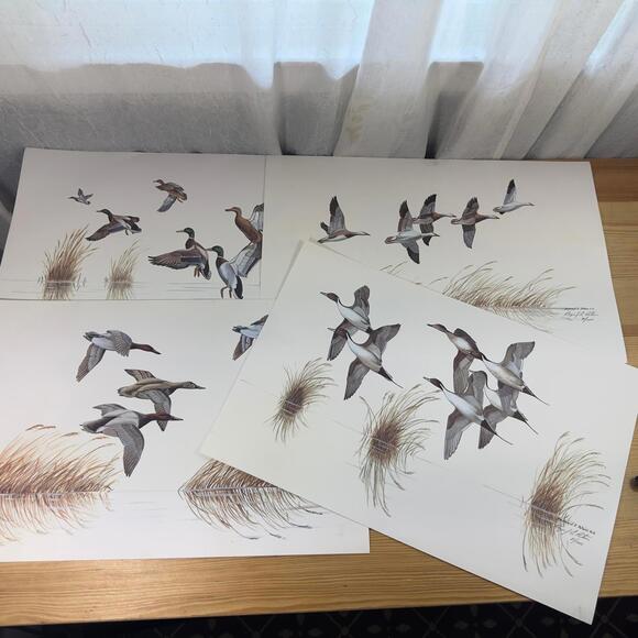 Raymond E. Peters Signed Duck Prints Set of 4Limited Edition 1990 Wildlife Art